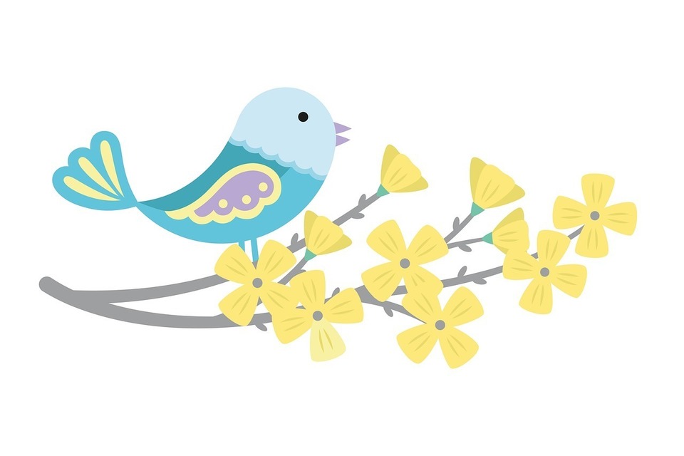 oiseau